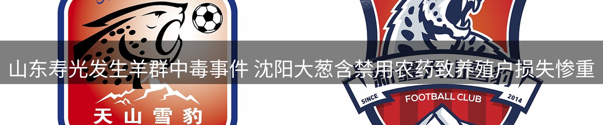 焦点亮点