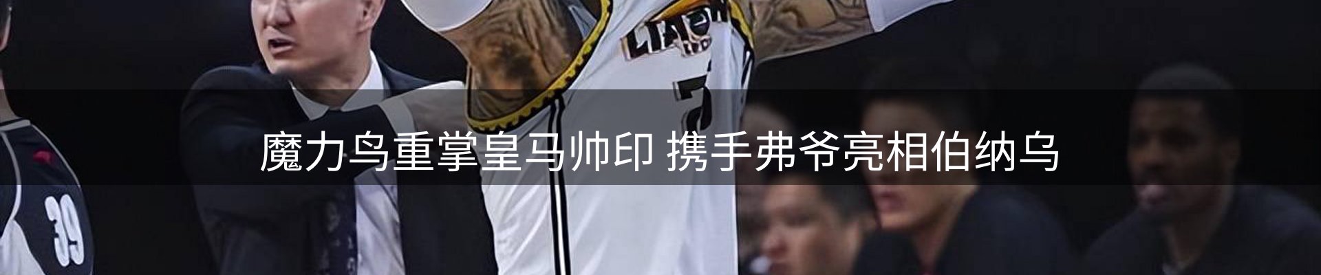焦点亮点